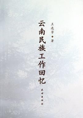 云南民族工作回忆