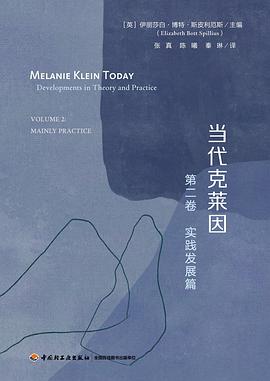 当代克莱因（第二卷）