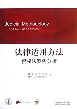 法律适用方法