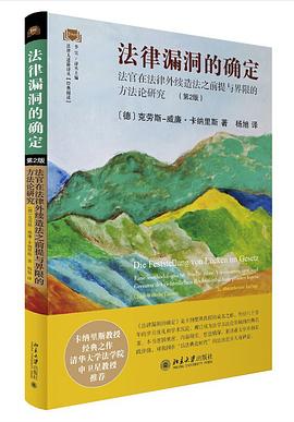 法律漏洞的确定