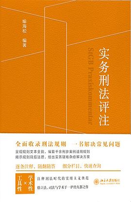 实务刑法评注