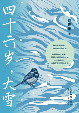 四十六岁，大雪
