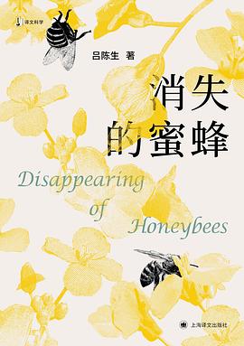 消失的蜜蜂