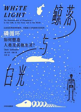 鲸落与白光
