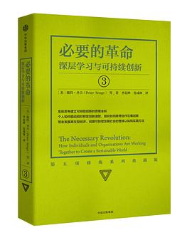 第五项修炼③