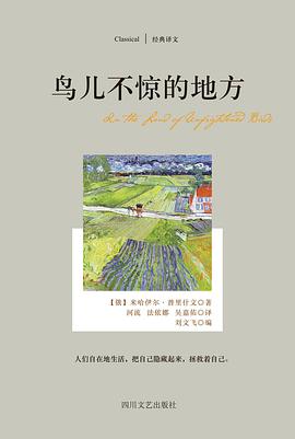 鸟儿不惊的地方