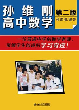 孙维刚高中数学 (第二版)