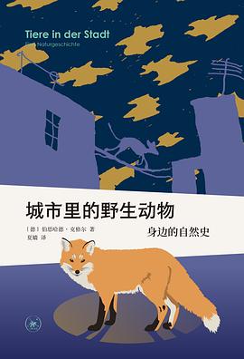城市里的野生动物