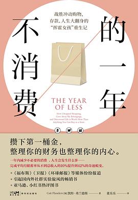 不消费的一年