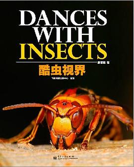 酷虫视界
