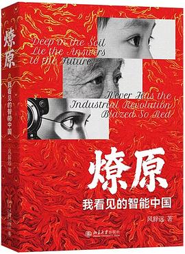 燎原：我看见的智能中国