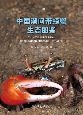 中国潮间带螃蟹生态图鉴