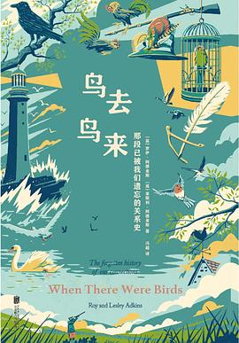 鸟去鸟来
