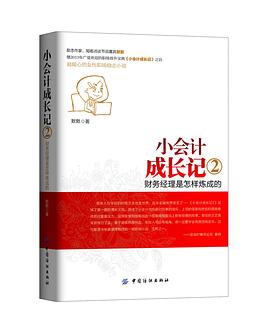 小会计成长记2
