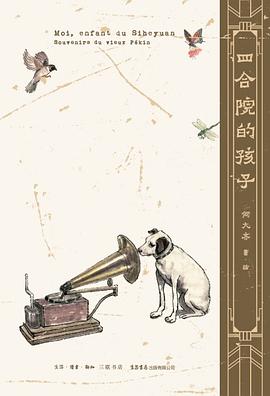 四合院的孩子