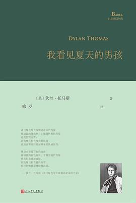 我看见夏天的男孩
