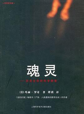 魂灵