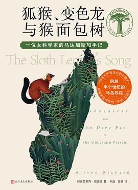 狐猴、变色龙与猴面包树