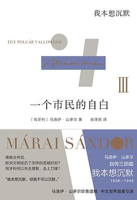 一个市民的自白 III