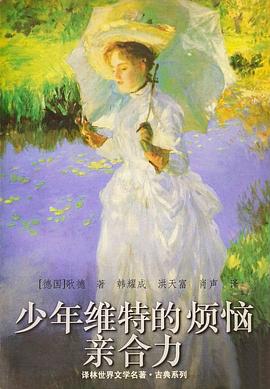 少年维特的烦恼 亲合力
