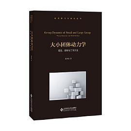 大小团体动力学