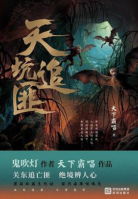 天坑追匪
