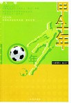 甲A十年