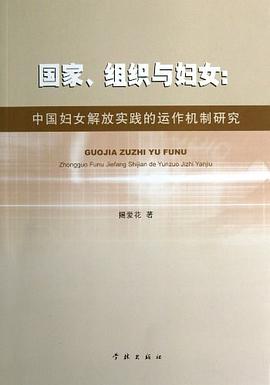 国家、组织与妇女