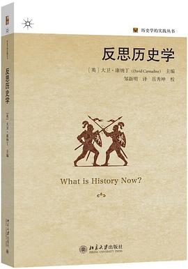 反思历史学