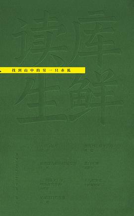 找到山中的另一只赤狐