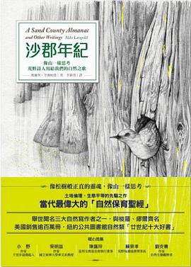 沙郡年紀