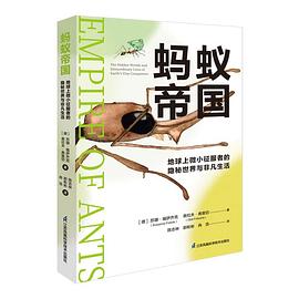 蚂蚁帝国
