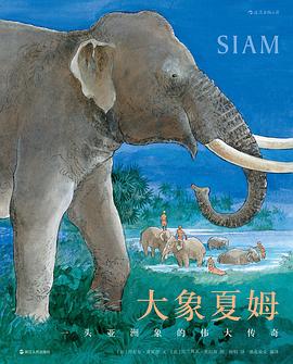 大象夏姆