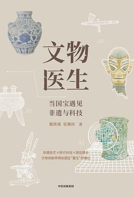 文物医生