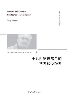 十九世纪爱尔兰的学者和反叛者